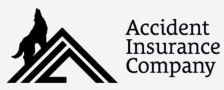ACCIDENT INSURANCE COMPANY
