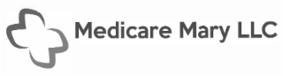 MEDICARE MARY LLC