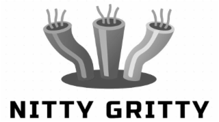 NITTY GRITTY