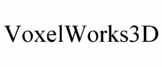 VOXELWORKS3D