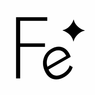 FE