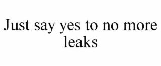 JUST SAY YES TO NO MORE LEAKS