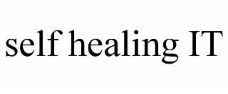 SELF HEALING IT