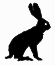 Image Trademark