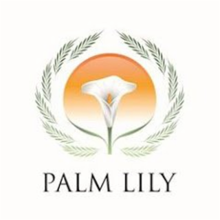 PALM LILY