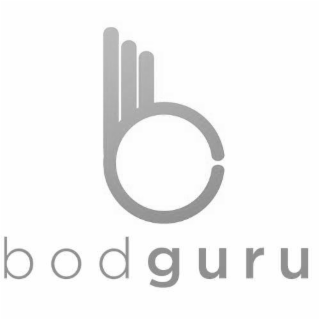 BODGURU
