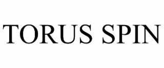 TORUS SPIN