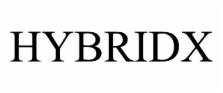 HYBRIDX