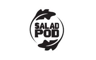SALAD POD