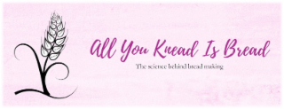 ALL YOU THE KNEAD IS MAKING BREAD SCIENCE BEHIND BREAD