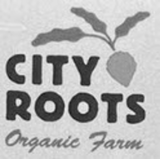 CITY ROOTS ORGANIC FARM