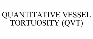 QUANTITATIVE VESSEL TORTUOSITY (QVT)