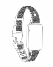 Image Trademark