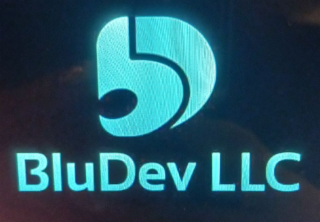 BLUDEV LLC