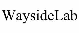 WAYSIDELAB