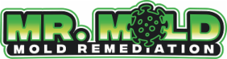 MR. MOLD REMEDIATION