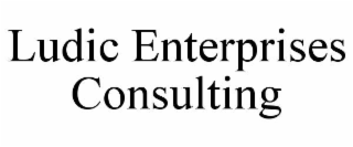 LUDIC ENTERPRISES CONSULTING
