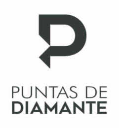 PUNTAS DE DIAMANTE