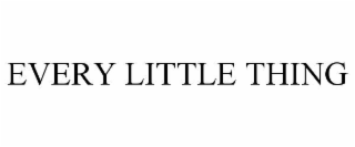 EVERY LITTLE THING