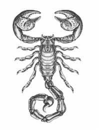 Image Trademark