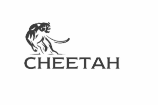 CHEETAH