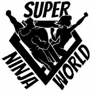 SUPER NINJA WORLD