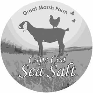 GREAT MARSH FARM CAPE COD SEA SALT