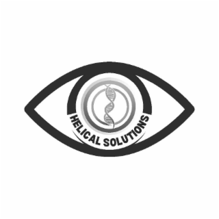 HELICAL SOLUTIONS