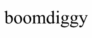 BOOMDIGGY