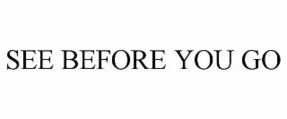 SEE BEFORE YOU GO
