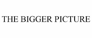 THE BIGGER PICTURE