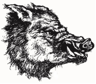 Image Trademark