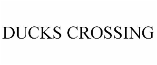 DUCKS CROSSING