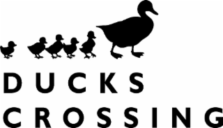 DUCKS CROSSING