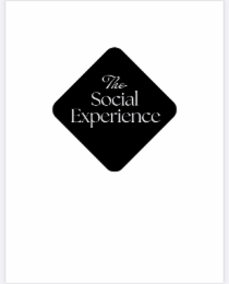 THE SOCIAL EXPERIENCE