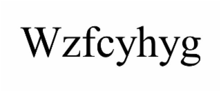 WZFCYHYG