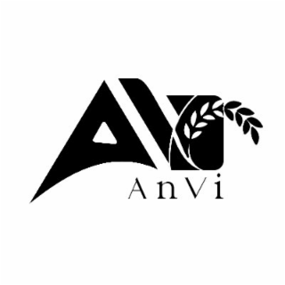 AN ANVI