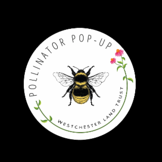 POLLINATOR POP-UP AND WESTCHESTER LAND TRUST