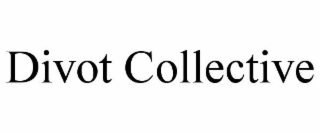 DIVOT COLLECTIVE