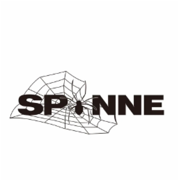SPINNE