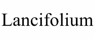 LANCIFOLIUM