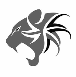 Image Trademark