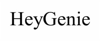 HEYGENIE