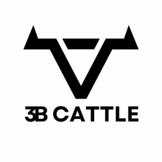 3B CATTLE