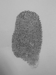 Image Trademark