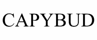 CAPYBUD