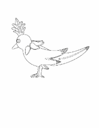 Image Trademark