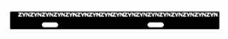 ZYN