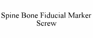 SPINE BONE FIDUCIAL MARKER SCREW