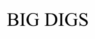 BIG DIGS